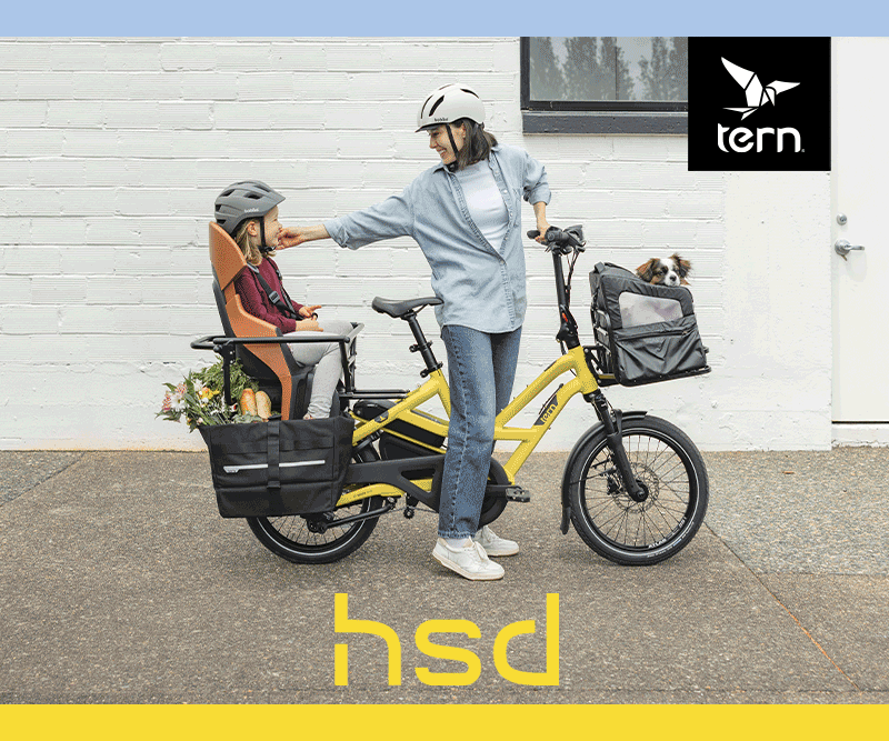 tern bike