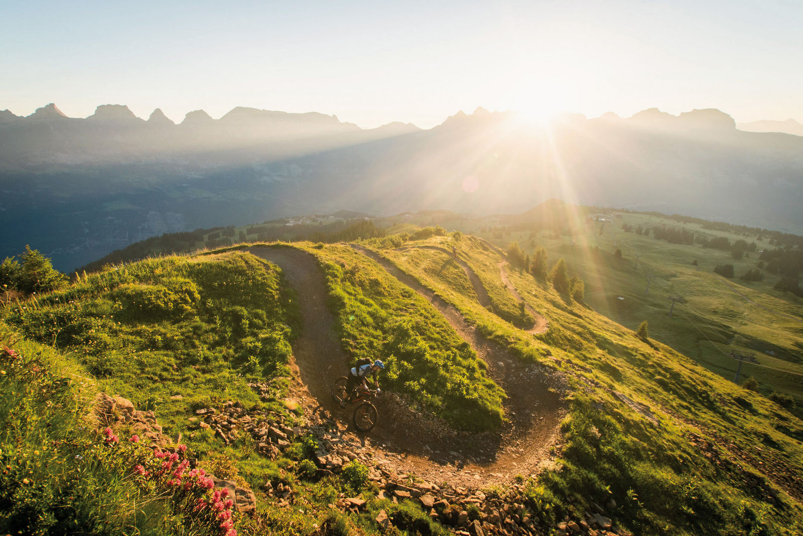 Kurvige, flowige Biketrails sind das Ergebnis einer akribischen, kompetenten Planung und Umsetzung.