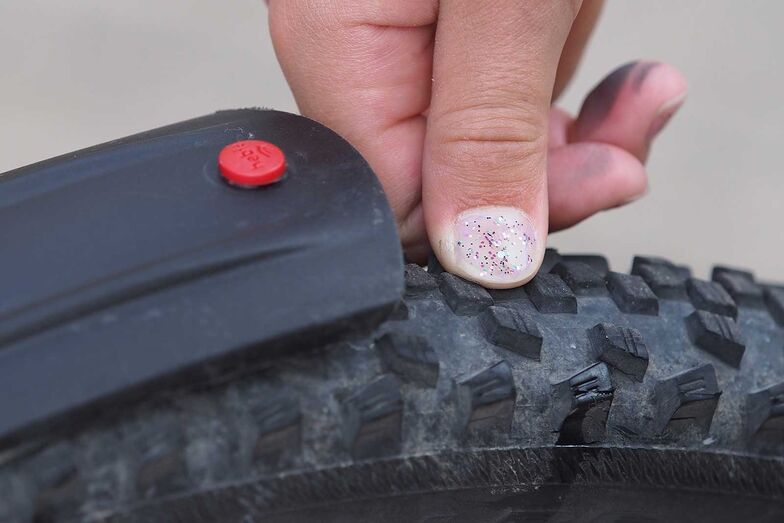 Reifenprofil und Beschädigungen sollten unbedingt vor der Tour abgecheckt werden. Foto: www.pd-f.de / Gunnar Fehlau