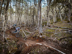 Die Vegetation in Patagonien ist äusserst vielfältig, die Biketrails abwechslungsreich.