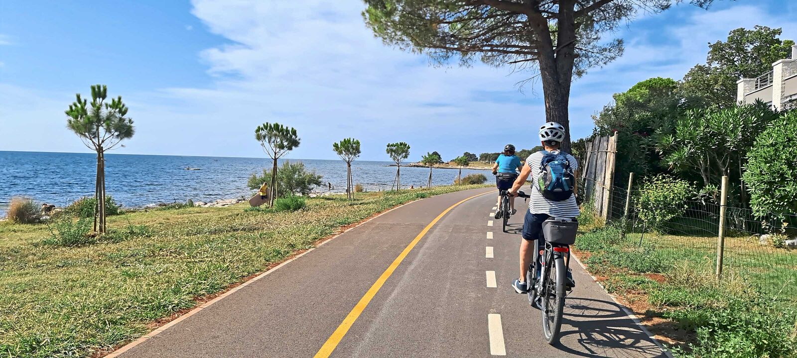Veloreisen mit mediterranem Charme gehören zum festen Angebot von Twerenbold. Die Biker fahren auf Istrien einerseits entlang der kristallklaren blauen Adria, aber auch ins Hinterland zu den Weinreben und Olivenhainen. Foto: © Franco Marvulli